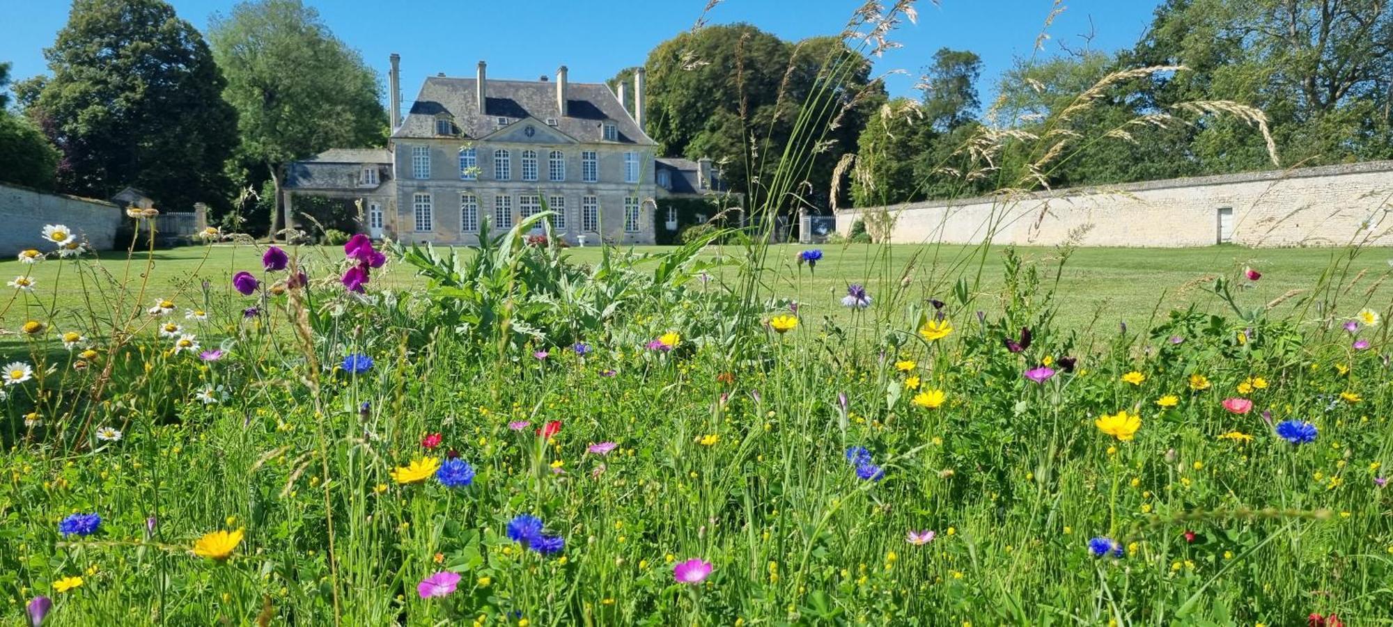 Chambres D'Hotes Chateau De Martragny Exterior foto